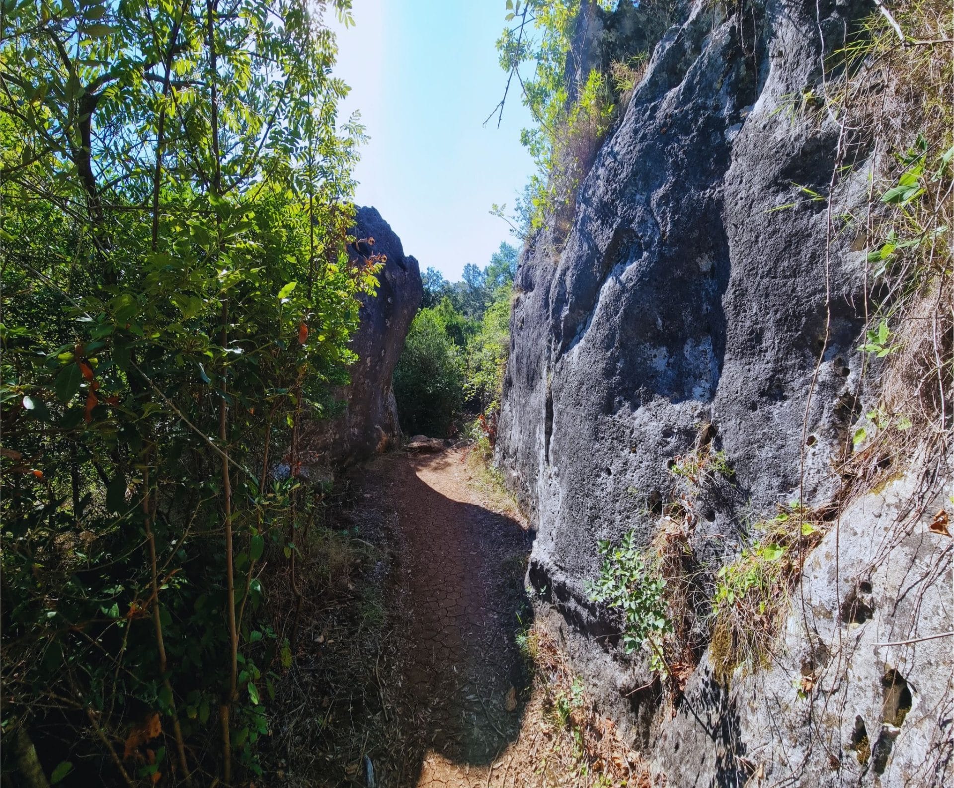 Hiking Trail on Korcula Island