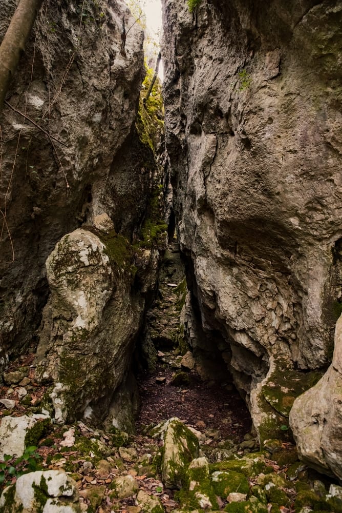 Uncover the Hidden Beauty of Kocje Natural Park's Dolomite Rocks